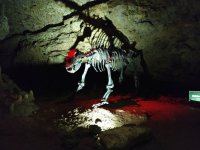 2019-07-28 - 11-38-34 - fränkische schweiz